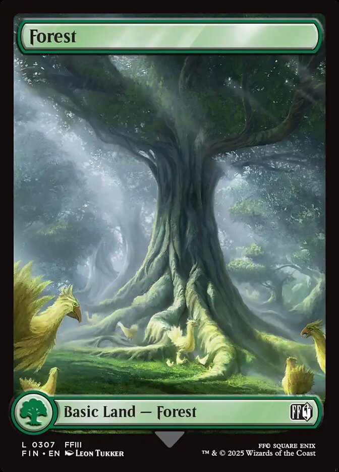 Forest 